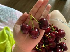 -盒马鲜生(莱蒙都会店)