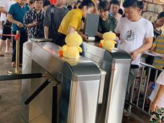 -杭州浪浪浪水公园