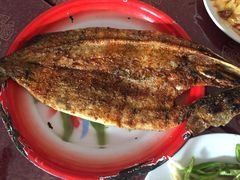 -新疆风味冷水鱼庄(友谊峰路店)