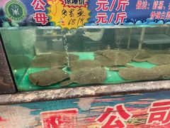 -新世纪绿洲(抚顺店)