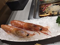 -海底捞火锅(公益西桥店)