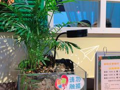 -初拾·花里餐厅(钜城华亿店)