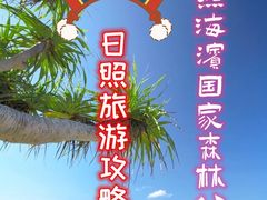 -日照海滨国家森林公园