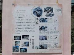 -青藏高原野生动物园