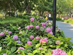 -常州古运河南大街文化旅游区-人民公园