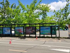 -黑龙江扎龙生态旅游区