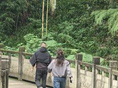 -重庆彩云湖湿地公园