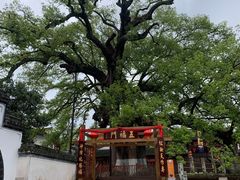 -新安江山水画廊风景区