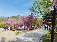-大连植物园