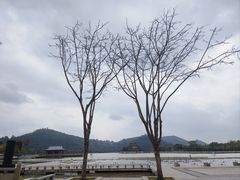 -顺峰山公园