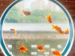 -珠海圆明新园