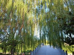 -西安汉城湖景区