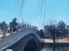 -莱西月湖公园