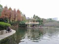 -晓港公园