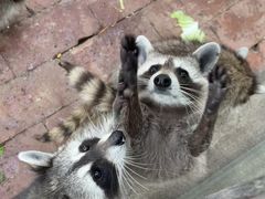 -水上乐园·欢乐世界