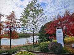 -昆山城市生态森林公园