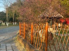 -常德桃花源景区