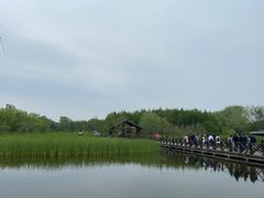 -溱湖国家湿地公园