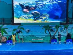 -石家庄极地海洋世界