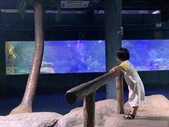 -南昌海洋公园