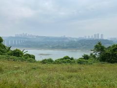 -金海湾滨江公园