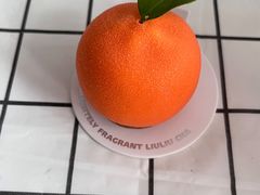 -TD66高山铁皮石斛养生茶饮