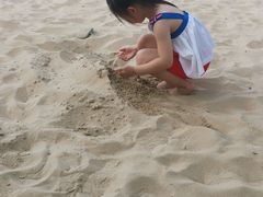 -上海佘山世茂艾美酒店