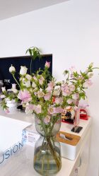 -JNK皮肤管理中心