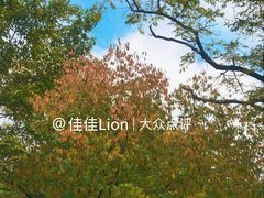 -北陵公园