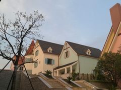 -大塘金香草谷