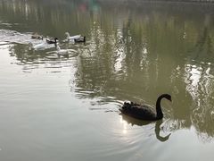 -南翠屏公园