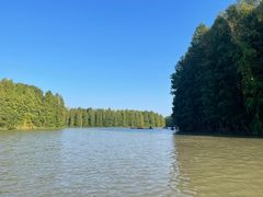 -上海海湾国家森林公园