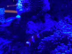 -上和臻品中国菜(花园街店)