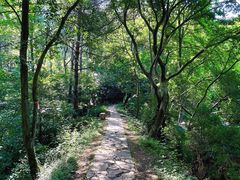 -青龙山国家森林公园