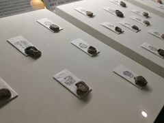 -古陶文明博物馆