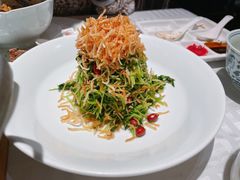 巧拌豆苗-四季民福烤鸭店(王府井灯市口店)