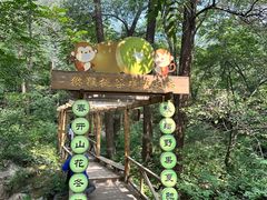 -大岭沟猕猴桃谷风景区
