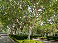 android_upload_pic-蠡湖中央公园