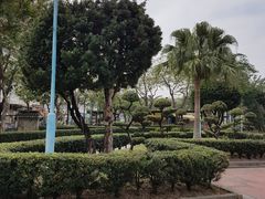 -九龙寨城公园