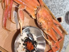 -震海贝烤贝·民俗特色店(延吉总店)