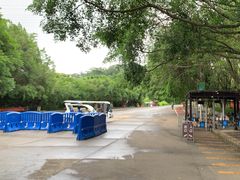 -水濂山森林公园