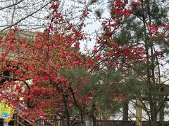 -石家庄市动物园