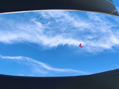 -春花秋色城市公园