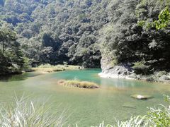 -龙湾潭国家森林公园