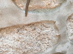 -碓臼峪自然风景区