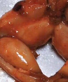 -可可大虾武汉土菜大排档(万松园1店)