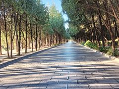 -少林寺欢喜地素斋馆