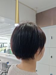 -镁连社·美联社