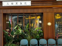 -三猫黑鱼花(南大店)