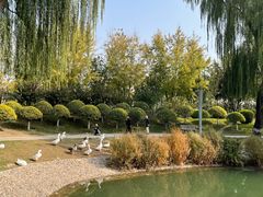 -万柳阁小馆·花园餐厅(龙潭湖店)